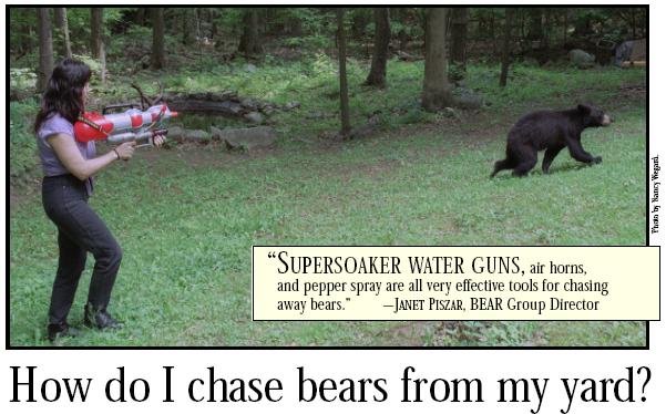 http://www.tettambel.com/jon/deer/watergunbear.JPG
