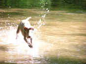 rudye.jpg (248179 bytes)