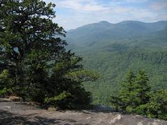 Click for large version