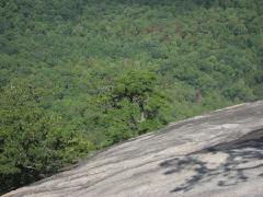 Click for large version