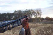 huntgg.jpg (448274 bytes)