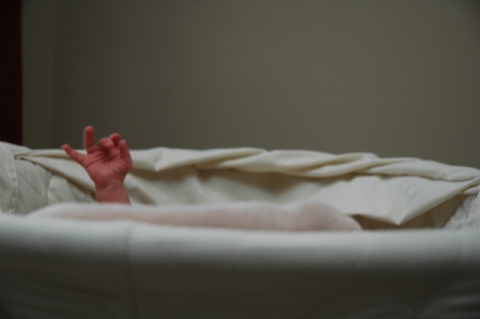dsc_2772
