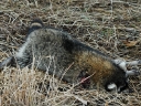 dsc_1325.jpg